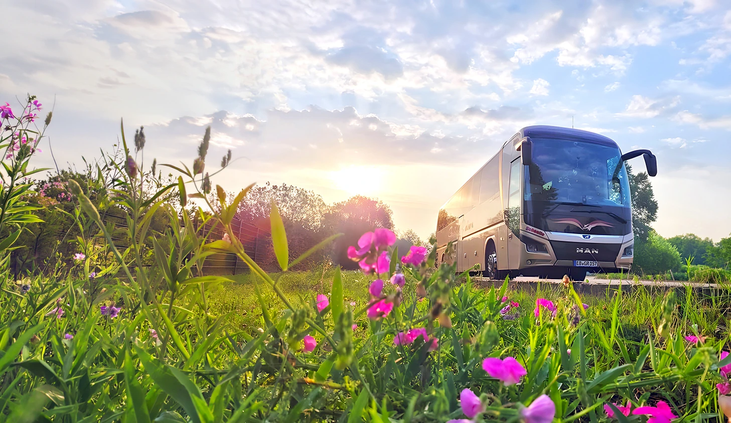 Ein Geißler Reisebus in einer blühenden Wiese bei Sonnenuntergang